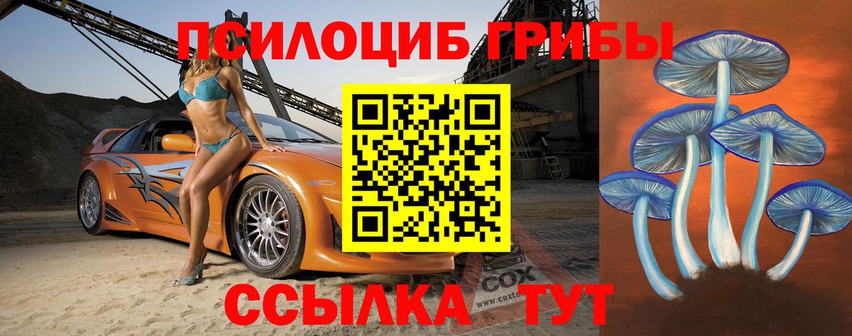 Псилоцибиновые грибы прущие грибы Краснознаменск