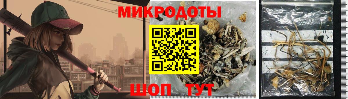 Галлюциногенные грибы Cubensis  Псилоцибиновые грибы ЛСД  Краснознаменск  купить наркотики цена  Вход с VPN 